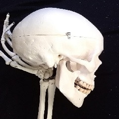 Belül szép?  I. A kezdet