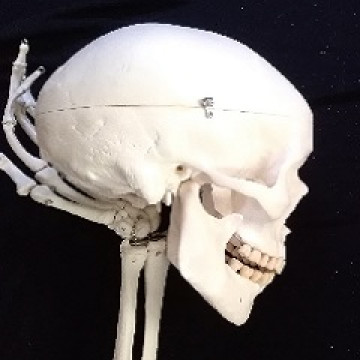 Belül szép?  I. A kezdet