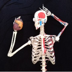 Belül szép? II. A nyomozás folytatódik