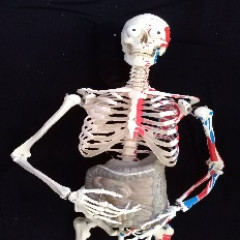 Belül szép III. A harmadik