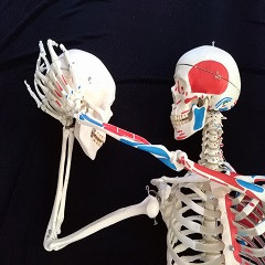 Belül szép I. A kezdet Óravázlat