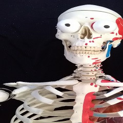 Belül szép I. Tanulói feladatok