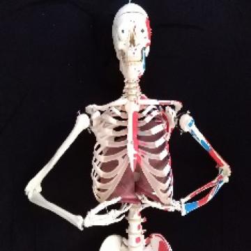 Belül szép II. Tanári segédanyag