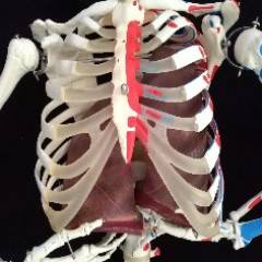 Belül szép II. Tanulói feladatok