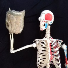 Belül szép III. Tanári segédanyag