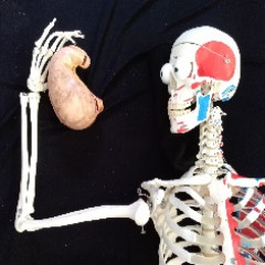 Belül szép III. Tanulói feladatok