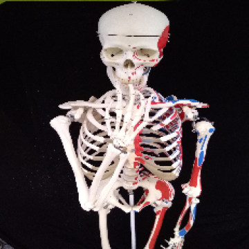 Belül szép I. Tanári segédanyag