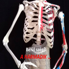 Belül szép III. Háttérkép