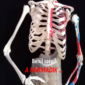 Belül szép III. Háttérkép