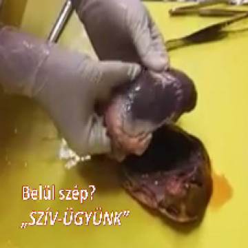 Belül szép II. Háttérkép szív